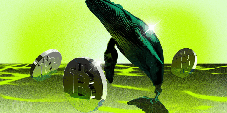 New Bitcoin Whales Now Hold Majority of BTC Capital
