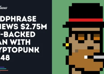 Seedphrase Renews $2.75M Loan Backed by CryptoPunk #8348