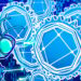 The crypto market values chains more than standalone applications