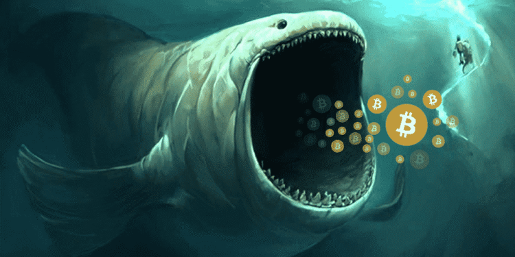 Bitcoin whales