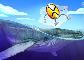 XRP whale flow and technical setup hint at 40% price boom next