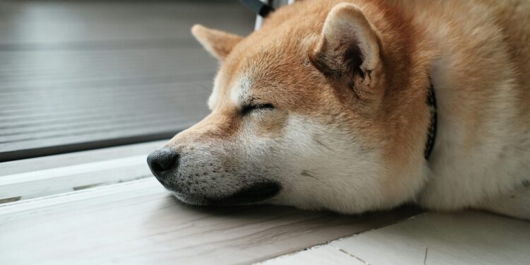 Dogecoin