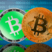 Bitcoin Cash
