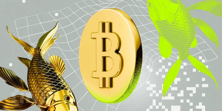 Gold Surges While Bitcoin Slips as Iran Threatens Retaliation