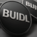 Blackrock’s Tokenized Money Market Fund BUIDL Tops $10M in May Dividends
