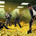Genius Group Bitcoin treasury grows 52% towards 1,000 BTC Goal