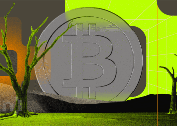 Kenya’s Largest Slum Has Become a Thriving Bitcoin Economy