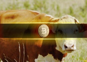 Last Time Bitcoin Did This, the Price Went From $60K to $100K