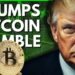 Market's SOAR As Trump Buys Bitcoin | Here's What You NEED To Know…
