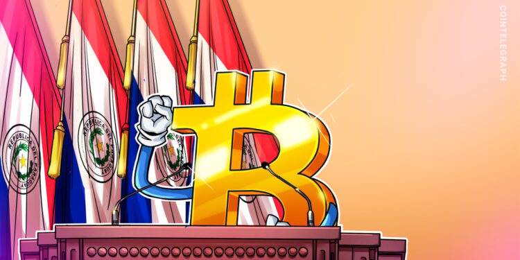 Paraguayan President Issues Warning About Bitcoin As Legal Tender Post
