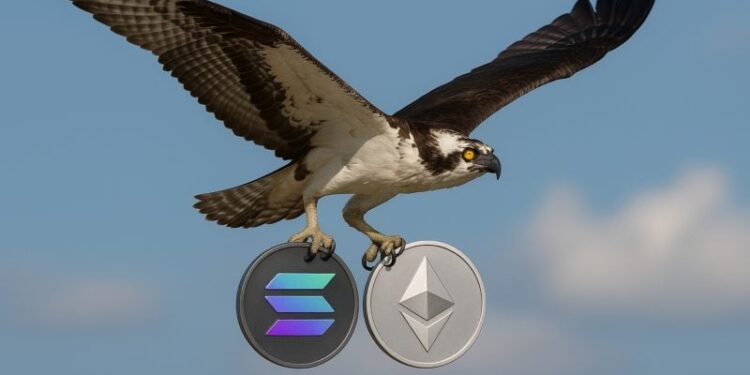 REX-Osprey Ethereum, Solana staked ETFs may launch soon as SEC raises no objections