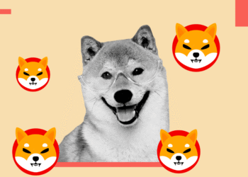 Shiba Inu