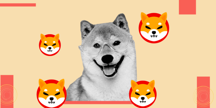 Shiba Inu