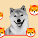 Shiba Inu