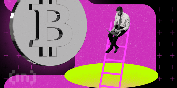 New Bitcoin Whales Are Fueling Market Volatility