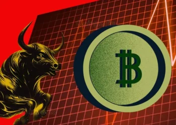 crypto market rise