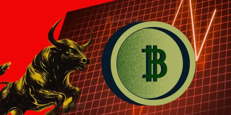 crypto market rise