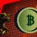 crypto market rise