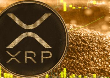 XRP Treasury Strategy by Vivopower Advances With Bitgo Support