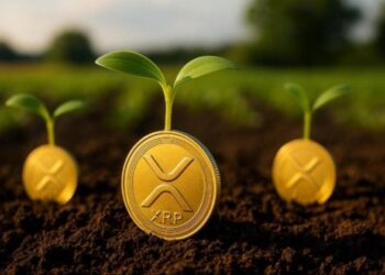 Agtech firm Nature’s Miracle launches $20M XRP treasury, eyes long-term yield generation via staking