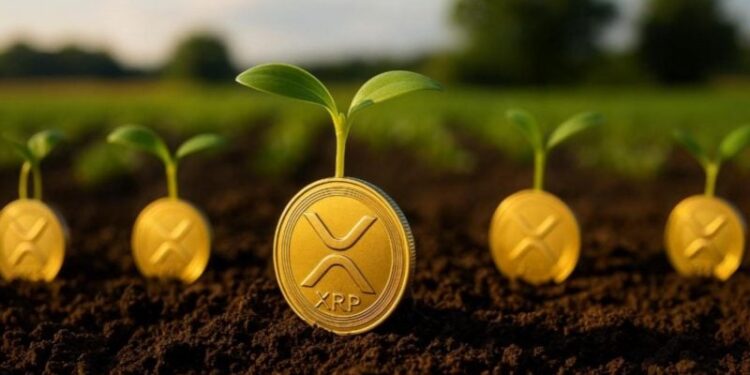 Agtech firm Nature’s Miracle launches $20M XRP treasury, eyes long-term yield generation via staking