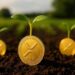 Agtech firm Nature’s Miracle launches $20M XRP treasury, eyes long-term yield generation via staking
