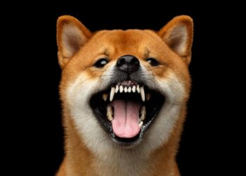 Dogecoin