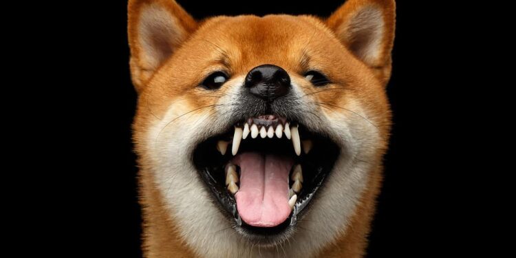 Dogecoin