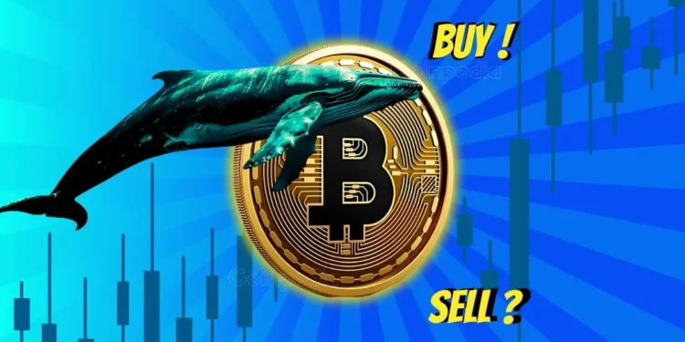 Coinpedia - Fintech & Cryptocurreny News Media