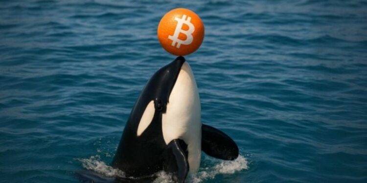 Galaxy Digital moves $447M in Bitcoin to exchanges, sparking sell-off speculation