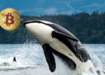 Galaxy Digital sends over 10,000 Bitcoin from Satoshi-era stash to exchanges