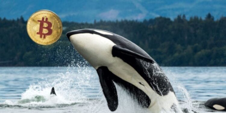 Galaxy Digital sends over 10,000 Bitcoin from Satoshi-era stash to exchanges