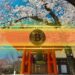 Japan's Kitabo Turns to Bitcoin for Treasury Reserves
