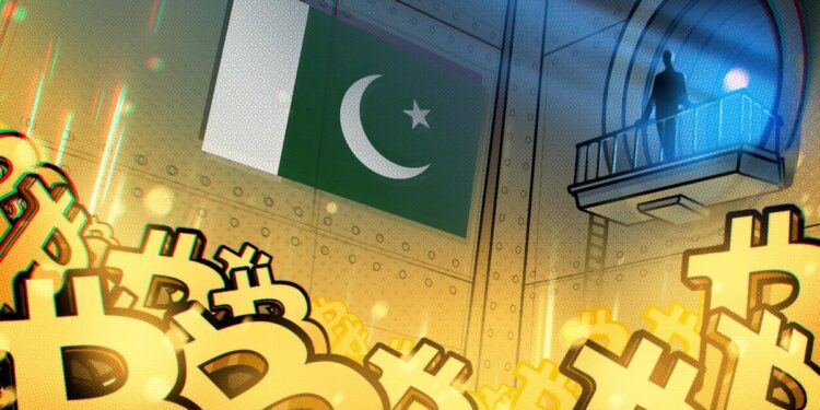 Pakistan's Youth Leading Charge on Bitcoin Adoption