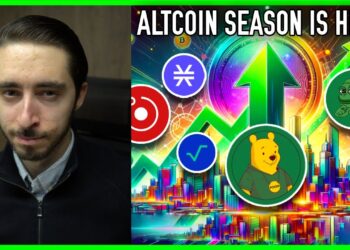 The Altcoin Cycle Is Here | Here's What You Need To Know