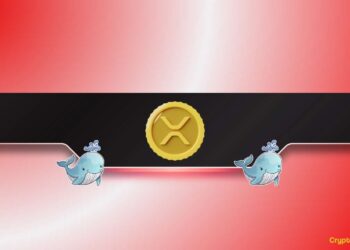 Whales Bought the XRP Dip While DOGE Hits Key Accumulation Zone: Details