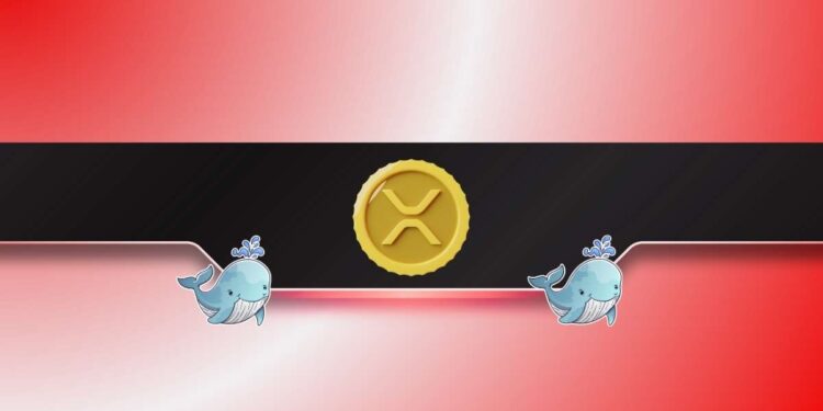 Whales Bought the XRP Dip While DOGE Hits Key Accumulation Zone: Details