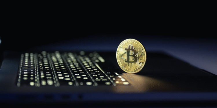 bitcoin wallet for self custody