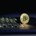 bitcoin wallet for self custody