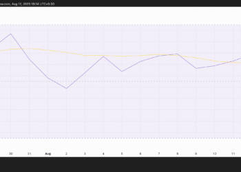 BCH RSI.