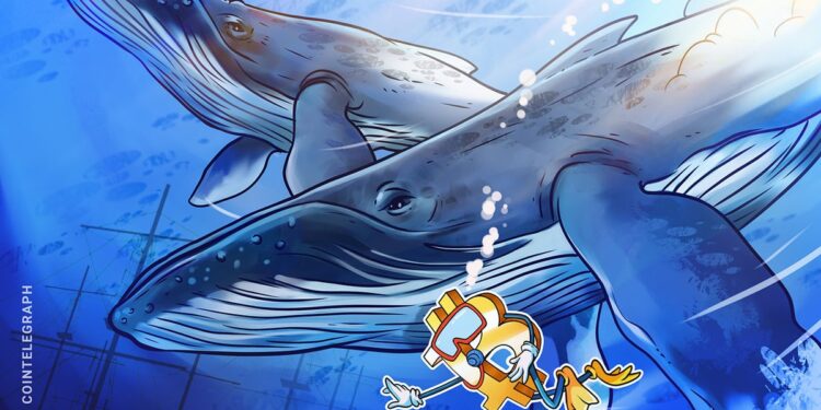 Bitcoin Whale Shifts to ETH With $295 Million Long Position