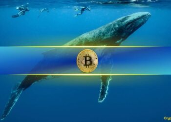 Bitcoin Whales Seize 68% of Supply After Adding 218,570 BTC