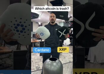 Cardano or XRP?