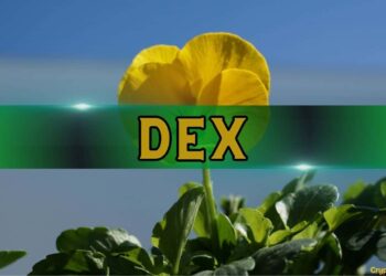 DeFi vs. CEX? CZ Says the Winner Is Clear