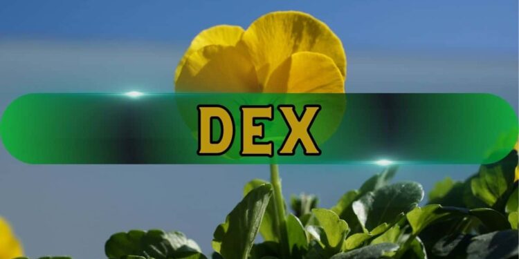 DeFi vs. CEX? CZ Says the Winner Is Clear