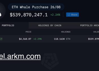 Ethereum Whale Portfolio