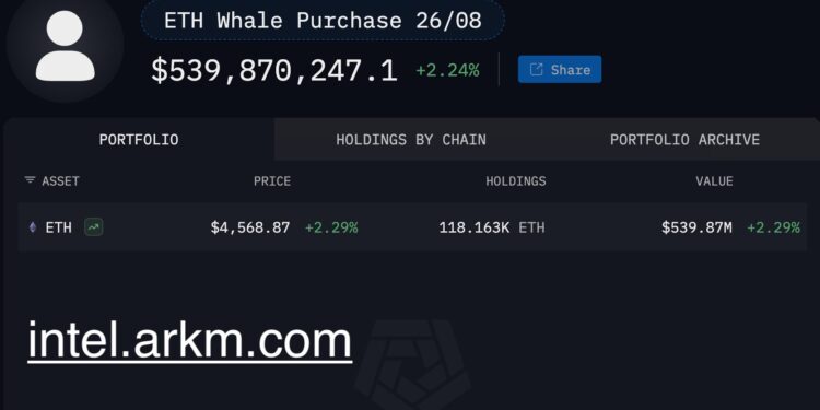 Ethereum Whale Portfolio