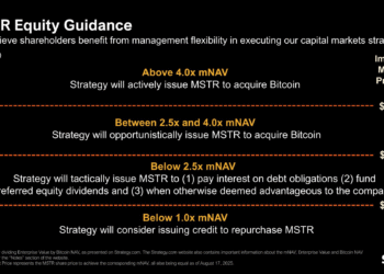 Strategy's Bitcoin Purchasing Guide