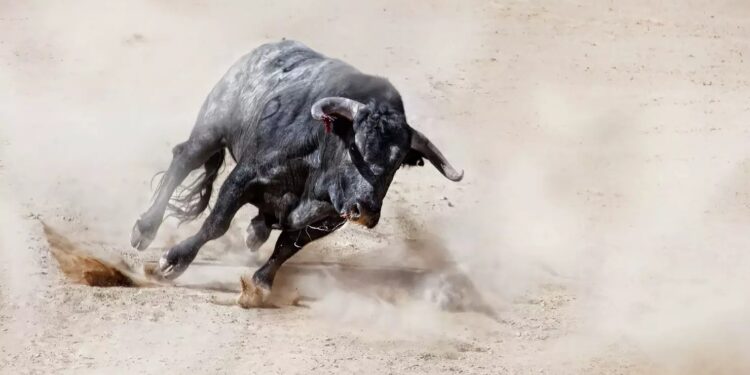 crypto