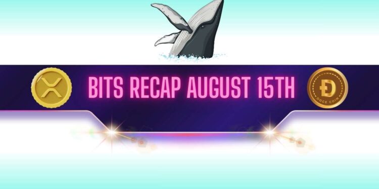 XRP and DOGE Whales Make Big Moves, BNB Set New Record: Bits Recap August 15th